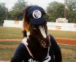 mascot-chillicothe1.jpg (12115 bytes)